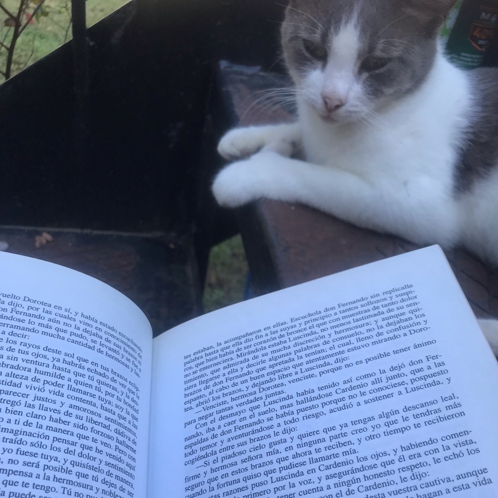 Meet your Posher, Irma